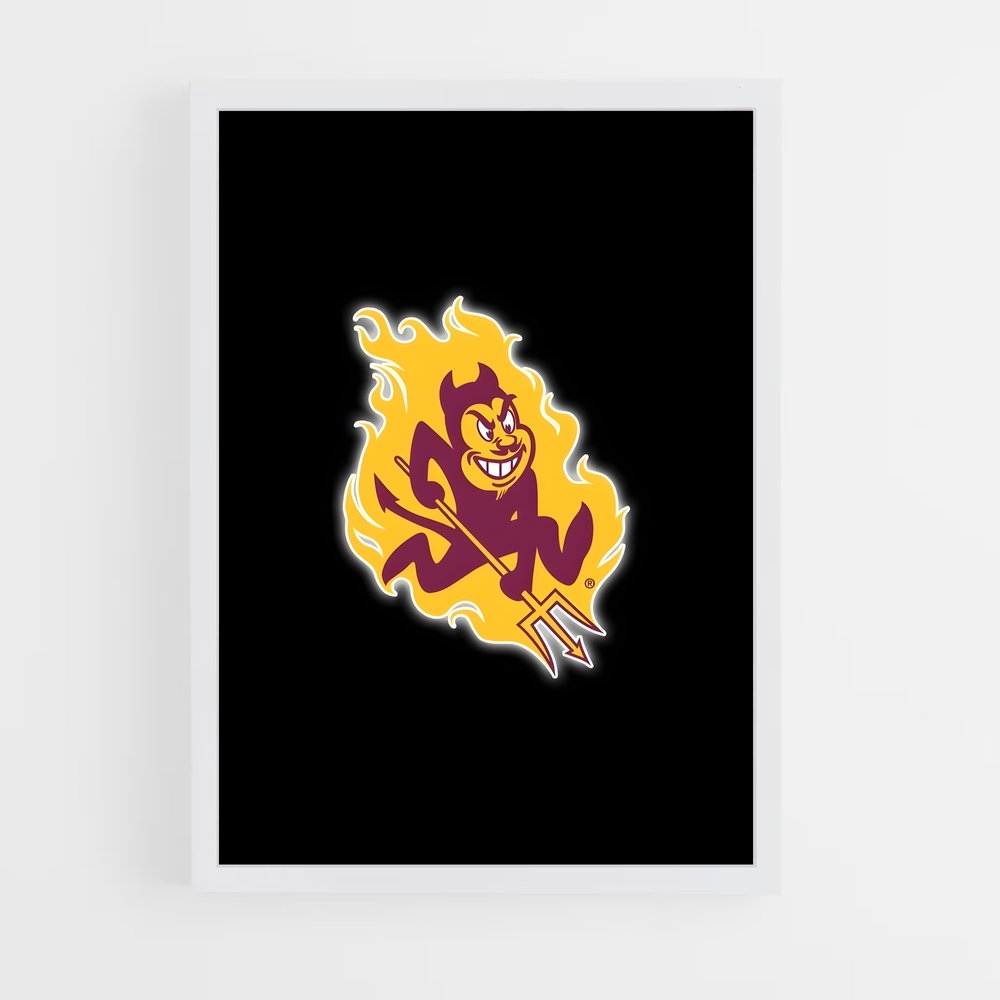 Poster Minnesota Spirit – affiche Baseball (vue 3)